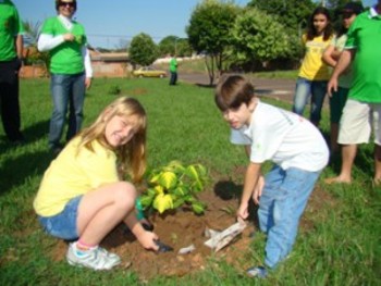 Medium_cran_as_plantando_arvore