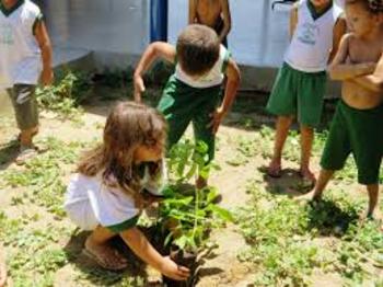 Medium_pessoa_plantando_arvore