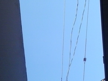 Medium_20160726_104020_1_