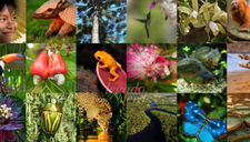 Calendar_home_capas_edukatu__9_