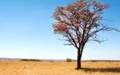 Calendar_thumb_capas_edukatu__41_