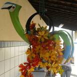 Top_10322716_245838682289771_245856217154428214_n