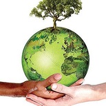 Top_f7bd37_4395925e015545c5859ee13f2520a485.jpg_srz_350_414_85_22_0.50_1.20_0