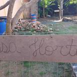 Top_12924554_459777237553382_146249166084322990_n