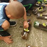 Top_img-20170927-wa0037