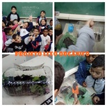 Top_projeto_lixo_organico