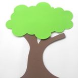 Top_a_rvore-de-eva-19