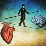 Top_11910030_431357977052373_1688834259_n