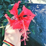 Top_photoeditor_20190411_143950774