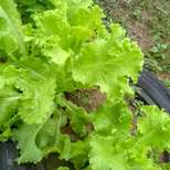 Top_whatsapp_image_2019-09-17_at_19.40.30