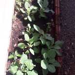 Top_whatsapp_image_2019-10-22_at_14.11.53