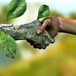 Top_desenvolvimento-sustentavel