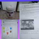 Top_whatsapp_image_2021-06-01_at_17.27.58