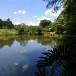 Top_whatsapp_image_2021-04-23_at_09.04.12