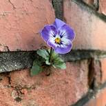 Top_fb_img_1622757058961