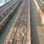 Top_whatsapp_image_2021-08-25_at_09.50.54