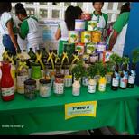 Top_foto_de_arlinda_maria