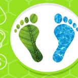 Top_pegada-ecol_gica