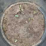 Top_whatsapp_image_2021-09-29_at_12.38.58