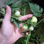 Top_screenshot_20220820-141636_whatsapp