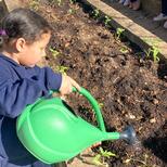 Top_acf470be-9f29-4a44-b25d-a6ca7af16826