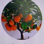 Top_whatsapp_image_2022-09-12_at_08.40.15