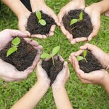 Top_screenshot_20220925-095823_google_2