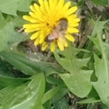 Top_img_20221025_101448