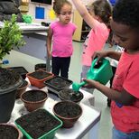 Top_whatsapp_image_2022-11-03_at_14.55.43__2_