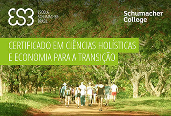 Medium_certificadoschumacher