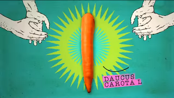 Medium_edukatu-edukateca-alimente-bem-historia-alimentos-cenoura