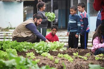 Medium_edukatu-por-dentro-curitiba_horta_cohab
