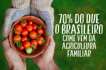 Medium_dia-do-campo_430x283px_af