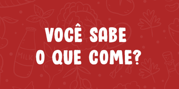 Medium_voce_sabe_o_que_come