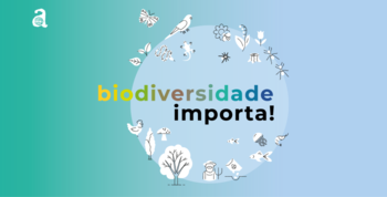 Medium_artboard-1-1-1024x576