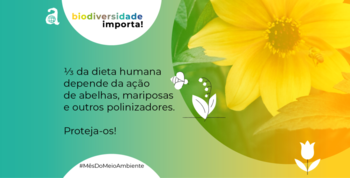 Medium_artboard-2-1-1024x576