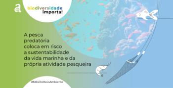 Medium_imagem_3