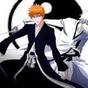 Thumb_88_ichigo