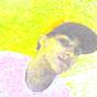 Thumb_88_thalyson